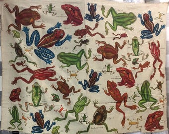 LAST PIECE 40 inches "Frogs" by Design Legacy print fabric