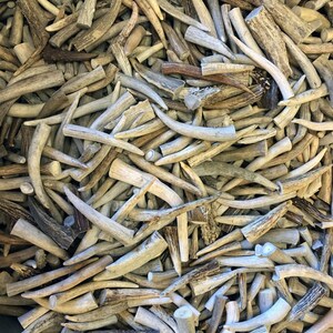 100 Pack - * Slightly Damaged*Deer Antler Tips, Points - Size 2.5" To 5" Long. GRADE A, B, & C Mix.