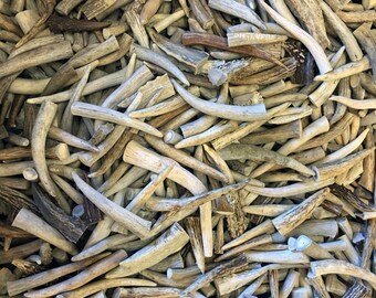 100 Pack - * Slightly Damaged*Deer Antler Tips, Points - Size 2.5" To 5" Long. GRADE A, B, & C Mix.