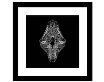 THE CALLISTONIAN - Black Frame / White Matte