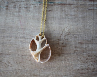 Skeleton shell necklace, layering necklace, long necklace, dainty necklace