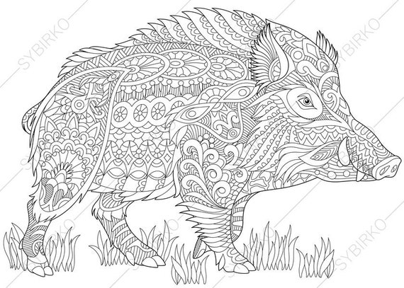 2 Coloring Pages Animal Book For