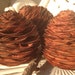 Deodar a Rare Cone , This Is The Whole Deodar Pine Cone , 3 Beautiful Pine Cones , They Make Beautiful Ornaments For Gifts