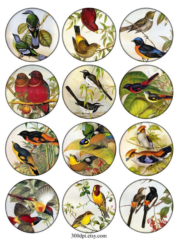 vintage printable tags birds digital collage sheet large