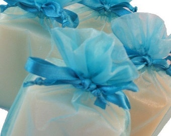 Eucalyptus and Spearmint Handmade Cold Process Soap Bar, 4oz-phthalate free,turquoise,vegan,natural,organic sustainable palm oil,organza bag