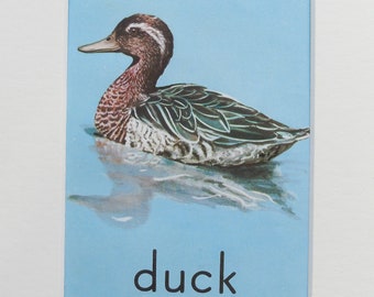 Duck - Original vintage Ladybird Book print, Mounted/ Matted Ready for Framing