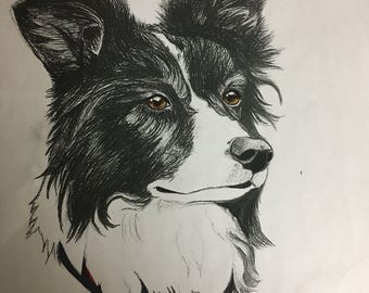 Charcoal/Pencil/Pencil Crayon/Pastel/Ink/Watercoulor/Acrylic. Commission Drawing or Painting. (Pets or Other Animals) Customizable Artwork