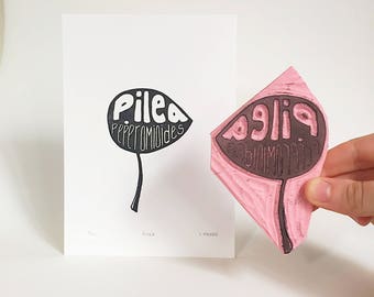 Pilea Print, Pilea peperomioides, Pancake Plant, Plant Art, Relief Print, Linocut, Block Print, Pilea Art, Pilea, Houseplant, Plant Prints