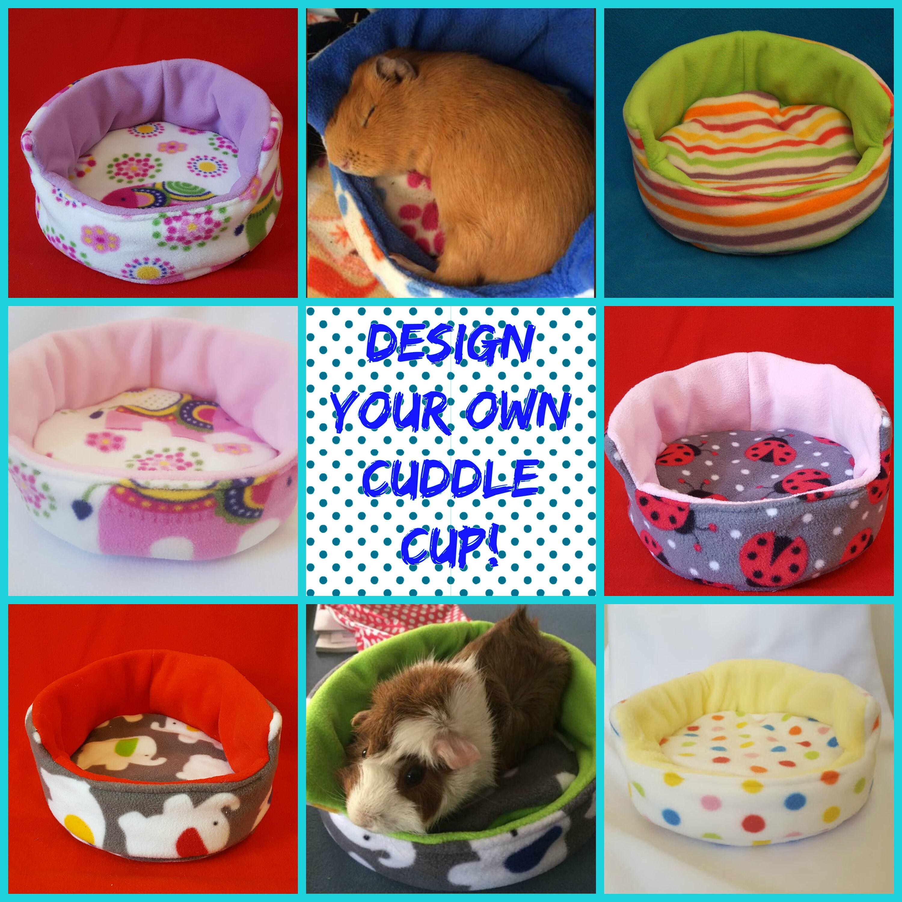 Guinea Pig Cuddle Cup CUSTOM ORDER