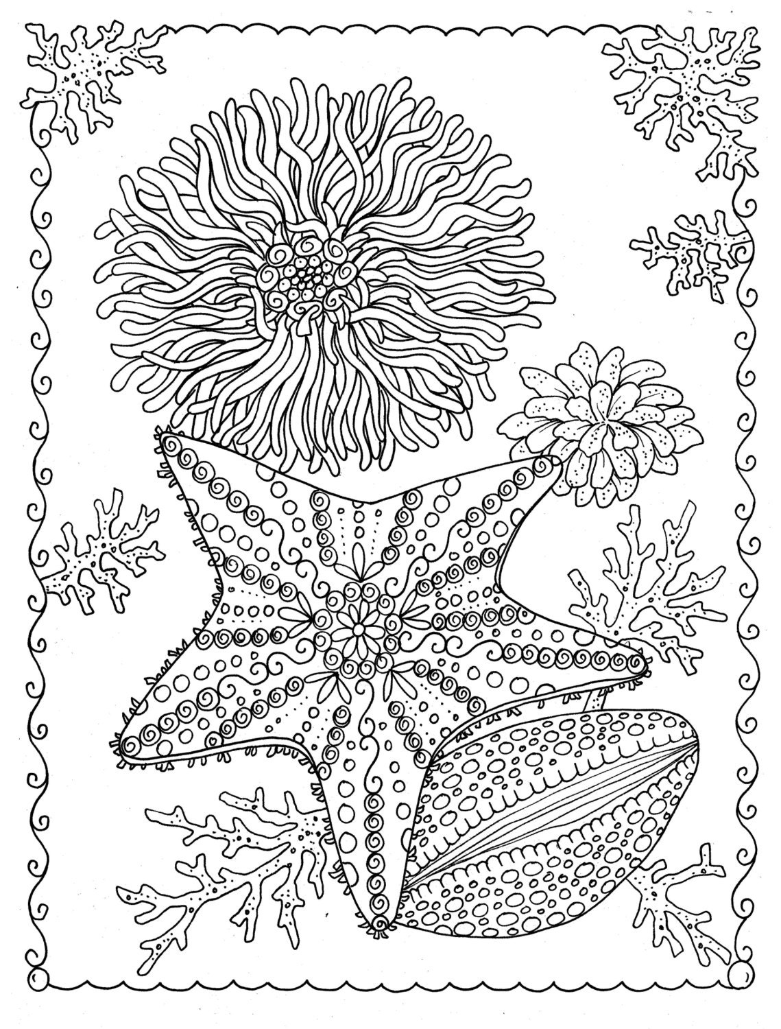 Download 5 Pages of Shells to Color Digital Instant Download Coloring