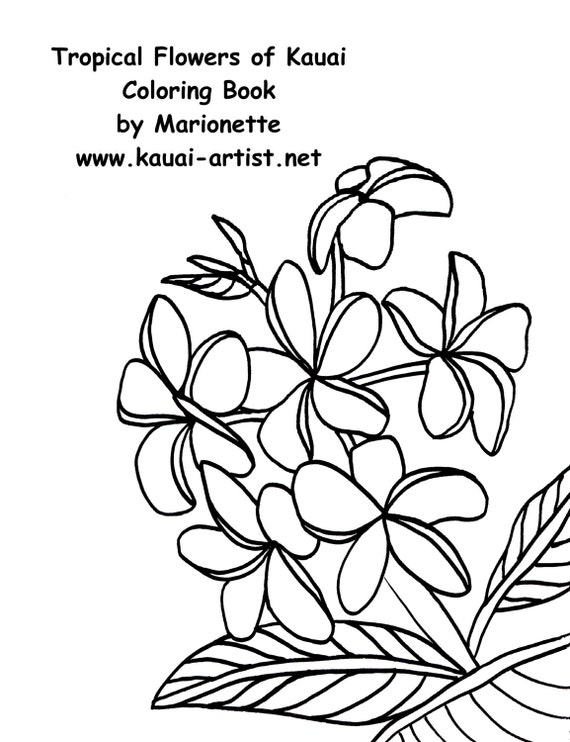 Download Coloring Book Tropical Flowers of Kauai Instant Download DIY
