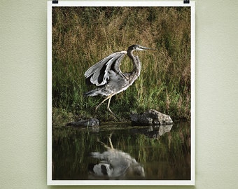 HERON DANCE - 8x10 Signed Fine Art Photograph