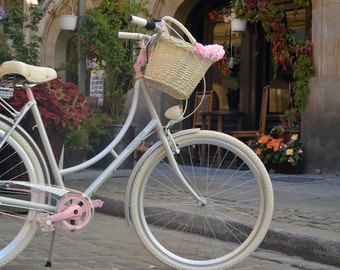 City Bike Moonlight French Macaron