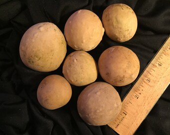7 Little Ball Gourds With Bumps