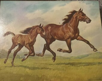 Horses by Elmore Brown - Winde Fine Prints 8"x10"