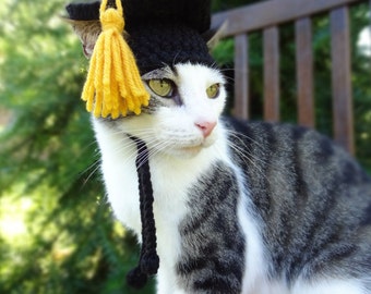 Graduation Cap for Cats, Graduation Cat Hat, Graduation Hat for Cats - The Graduate's Cat Cap