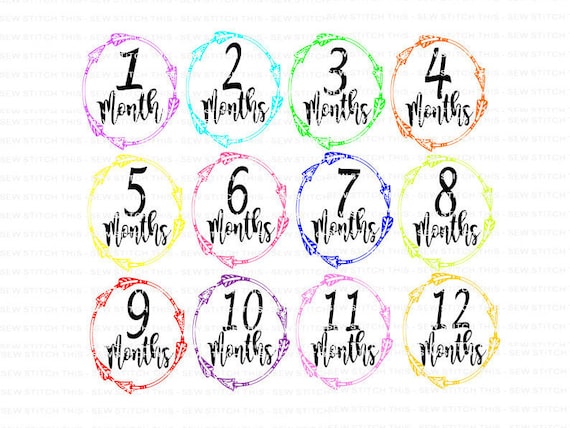 Download Baby Month SVG Month Milestones SVG PNG dxf First year
