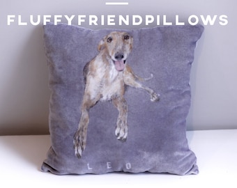 hand painted 100% silk velvet pet portrait pillow14*14