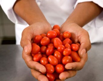 VTC) SUGAR PLUM Grape Tomato~Seeds!!!!!!~~~~~~The Smallest of the Cherries!