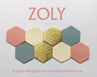 8 small hexagons diameter 2cm 4 colors