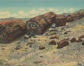 Vintage 1950's Vintage Linen Postcard Petrified Wood or "Logs of Stone" in the Petrified Forest of Arizona