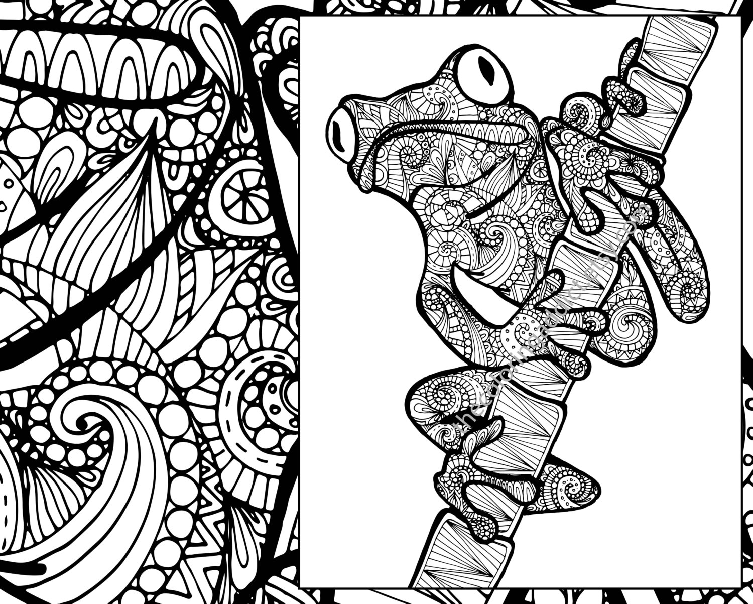 frog coloring sheet animal coloring pdf zentangle adult