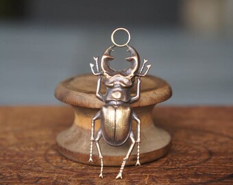 Vintage French Brass Stamping/Antique Style/Stag Beetle/Insect/French Findings