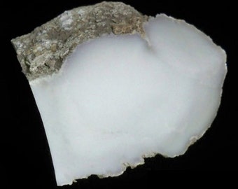 Cacholong White Opal Specimen Kazakhstan