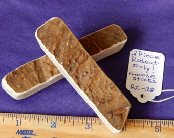 2 Piece RODENT ONLY X-Small Moose Antler Sticks, RC-38