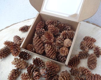 Spruce cones, mixed size, 26 pcs in box, DIY craft supplies, natural material