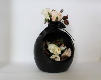 Mink Skull in Black Terrarium