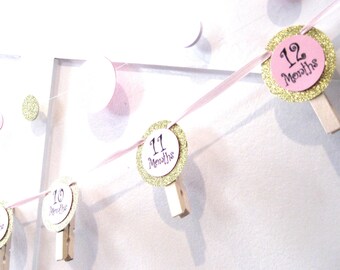 1st Birthday Picture Banner, 12 Month Picture Banner, Babys First Year Banner, First Birthday Photo Banner, Baby's 1st Year, 0-12 Month