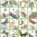 Insects. They need to save. the Red Book of USSR. Issue number four. Set of 16. Soviet Postcards. Moscow, 1987
