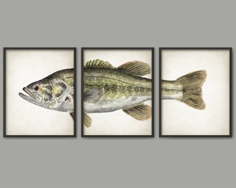 Bass art | Etsy