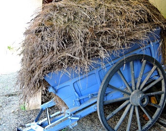 Lavender Cart Photo, Provence France