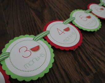 Wonderful Watermelon: Just Born/0-12month Watermelon First Birthday Photo Picture Banner. First Birthday Banner. First Year Banner.