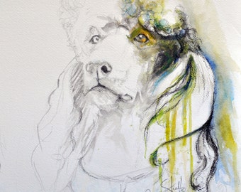 Standard Poodle Fine Art Print