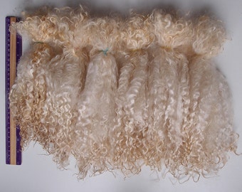 Teeswater raw wool long locks 10-12 in 100 gr unwashed white cream fiber/curly Doll Hair felting fur collar spinning locks lafiabarussa