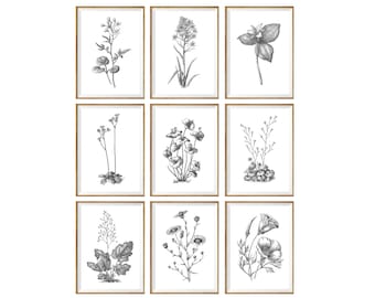 Black and White Art Print SET of 9, black and white decor, botanical prints, botanical drawings, botanical posters, botanical set, 11x14