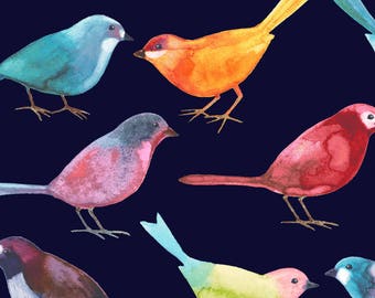 P&B Textiles - Bird Watchers - Birds - Multi - Fabric by the Yard 26765-BLA1