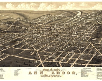 Map of Ann Arbor, Michigan 1880; Antique Birdseye Map; Custom Printed