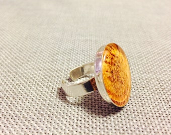 Sterling Silver Ring with REAL Passion Fruit in Resin - FREE SHIPPING!!!