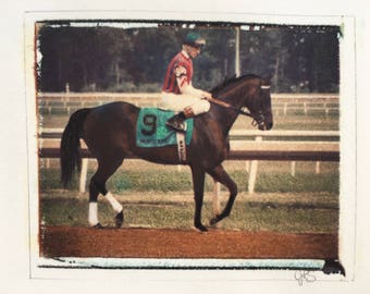 Thoroughbred Polaroid Transfer