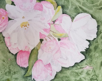 Spring blossoms