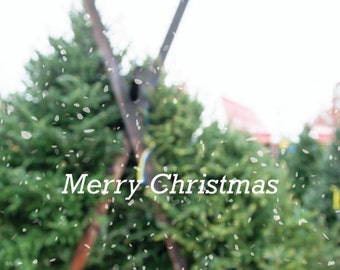 Christmas Art, Christmas Photo, Christmas Tree