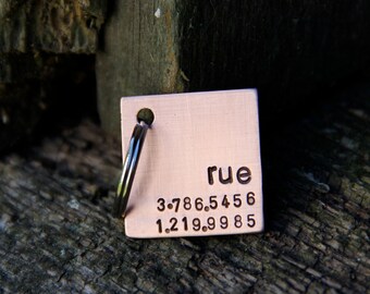 Custom Dog Tag / Cat Tag, Rooney, in 1'' Brushed Aluminum or Copper