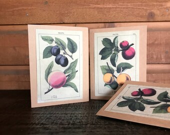Seed Paper Cards / Set of 4 / Plantable / Vintage Designs