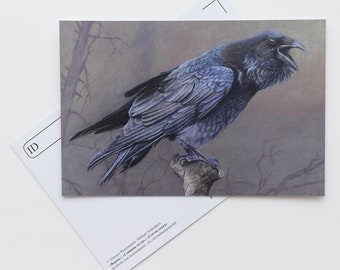 Postcard Raven - Bird - Stationery