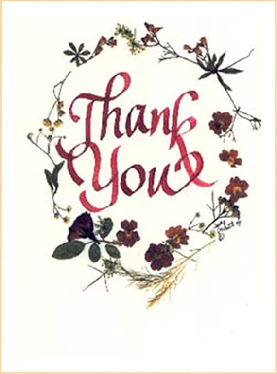 thank you card beautiful thank you colorful pressed flowers