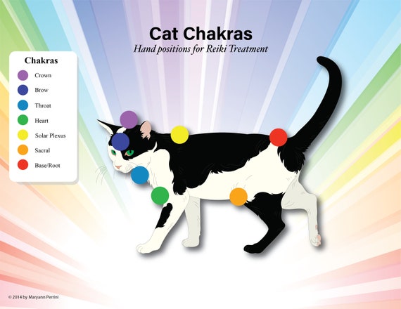 Digital Cat 7 Chakras Educational Charts Animals Reiki Hand